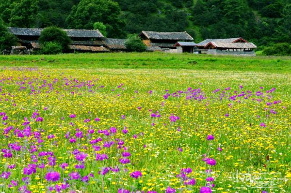 麗江好玩的地方——九子海_麗江旅游景點推薦 麗江自助游攻略2014