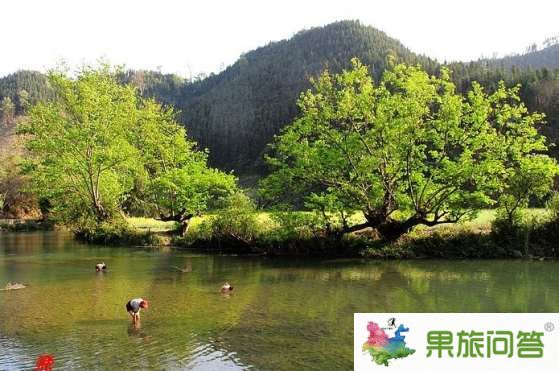 游客在羅平多依河空手抓魚(yú)_羅平多依河享受純粹的田園風(fēng)光